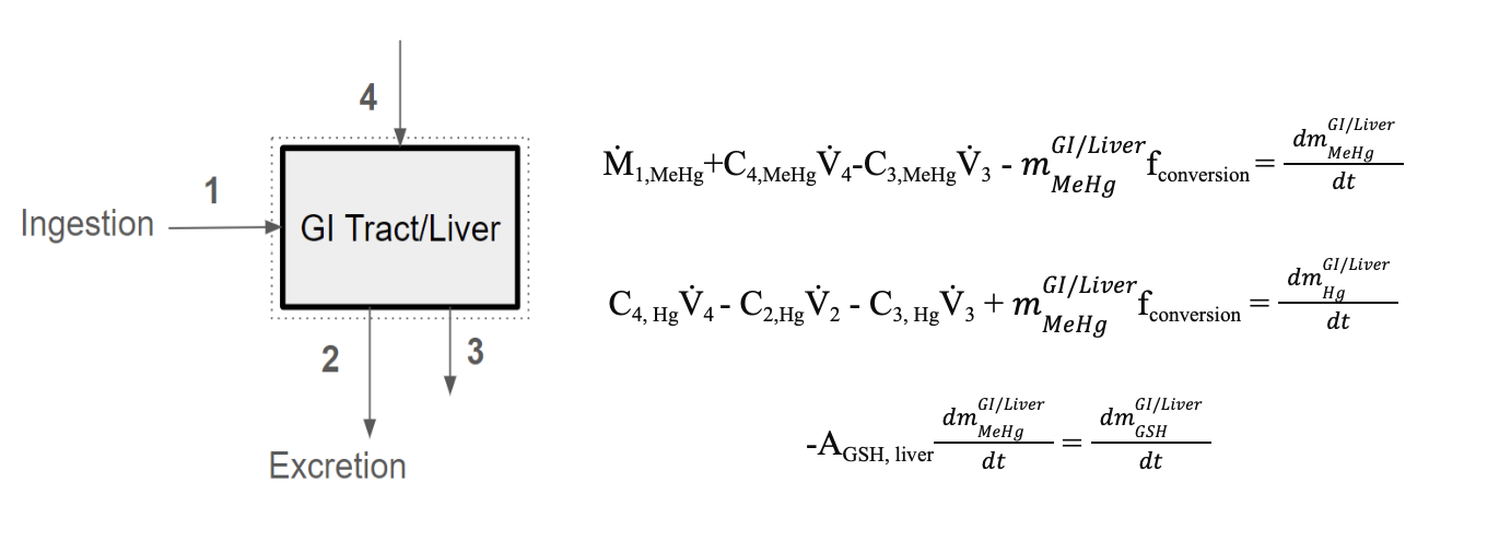 Differential equation modeling