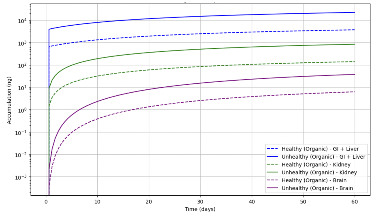 Mercury accumulation comparison for each organ in scope
